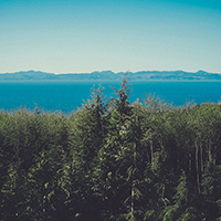 在线DDOS平台攻击